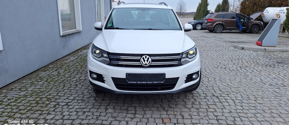 Volkswagen Tiguan cena 44999 przebieg: 180000, rok produkcji 2011 z Jawor małe 704